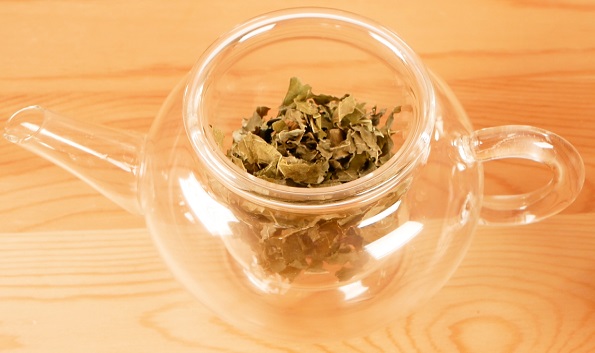 桑の葉茶、高血圧
